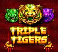 Triple Tigers slot by Pragmatic Play